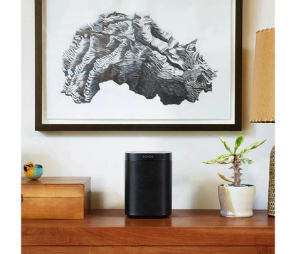 Sonos One Gen 2 Voice-Controlled Wireless Smart Speaker With Alexa And Google Assistant, Black/White